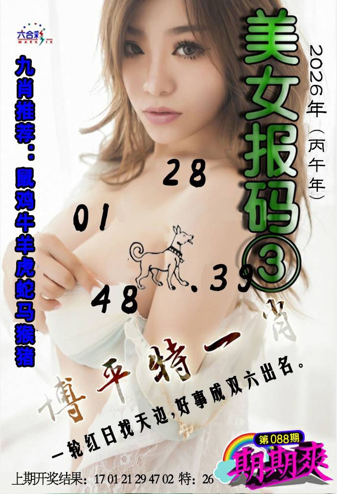 088期美女码报3[图]